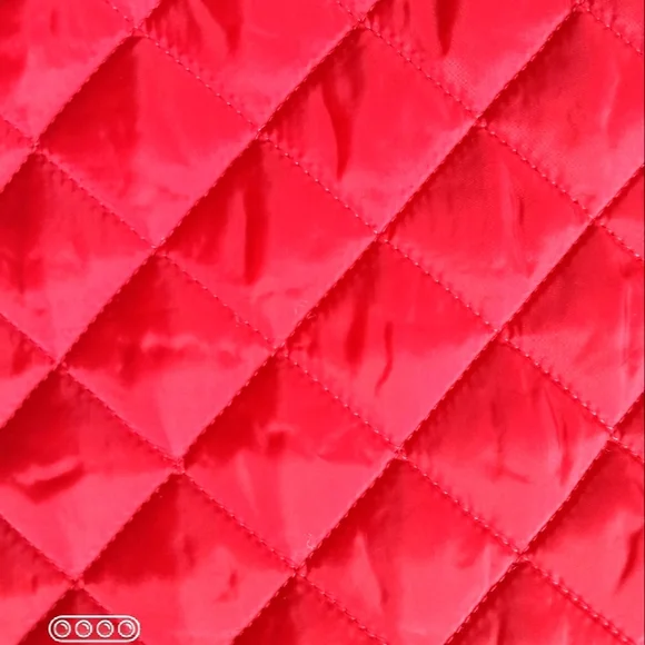 Red Ski Jacket Vest - Picture 15 of 16